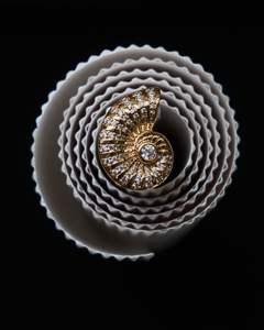 Слика за категорија Модни додатоци