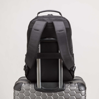 Слика на Carpisa - Ранци