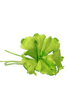 Слика на Liu Jo - Модни додатоци