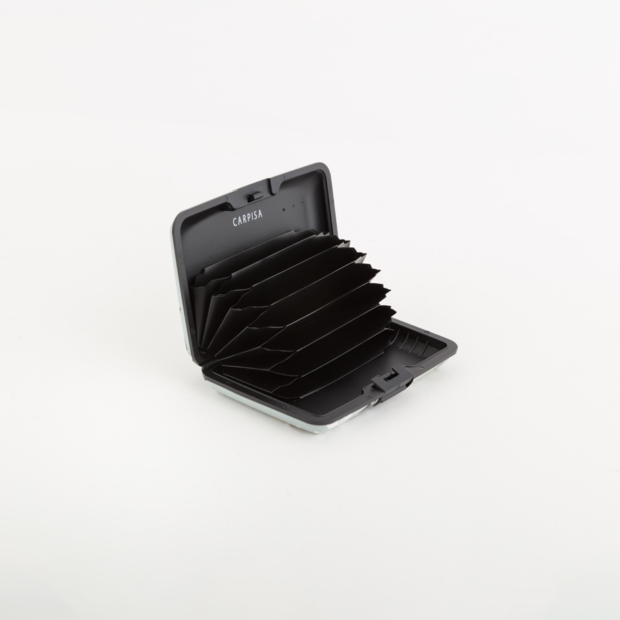 Слика на Carpisa - Чанти