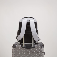 Слика на Carpisa - Ранци