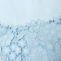 Слика на Self-Portrait - Фустани