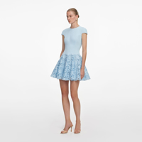 Слика на Self-Portrait - Фустани