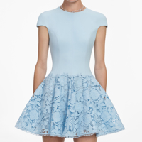 Слика на Self-Portrait - Фустани