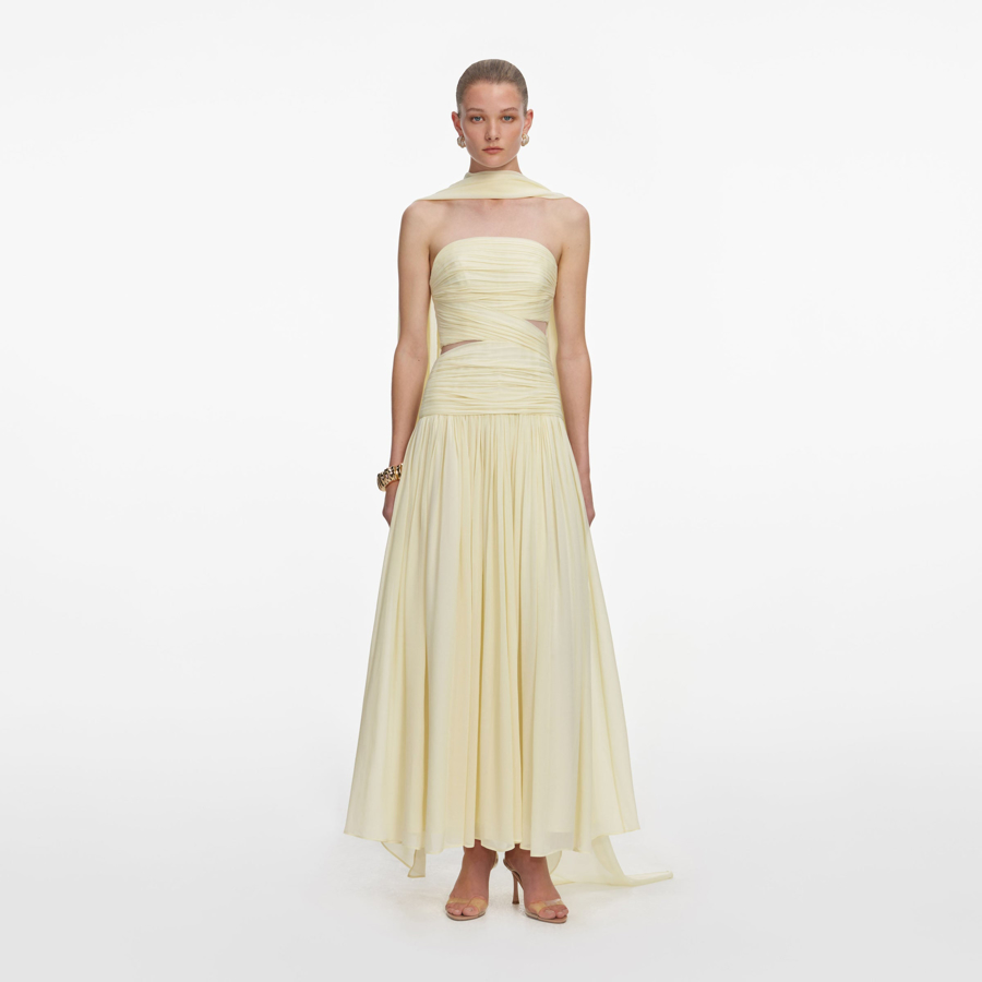 Слика на Self-Portrait - Фустани