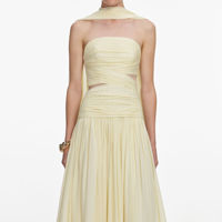 Слика на Self-Portrait - Фустани